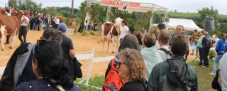 Fête du lait : une vitrine vivante de l’agriculture