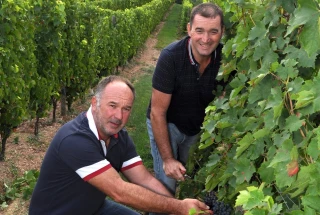 L’AOC côtes-du-forez et la fourme, un mariage heureux