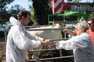 Dermatose nodulaire contagieuse : des éleveurs inquiets, des réponses fiables pour les accompagner