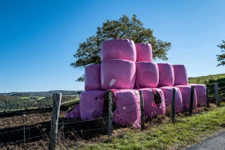 Enrubannage rose : quand l’agriculture soutient Octobre rose