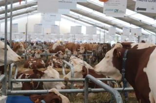 « Le Sommet de l’élevage se tiendra, venez nombreux »