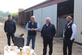 DNC : la FNB demande des mesures d’urgence pour les broutards et les veaux