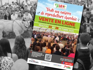 Catalogue de la vente 2025 de reproducteurs charolais