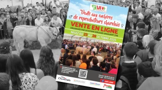 Catalogue de la vente 2025 de reproducteurs charolais