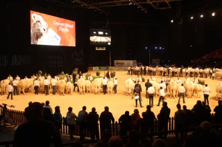 Le Sommet de l'élevage 2025 privé de ses bovins mais pas de ses éleveurs