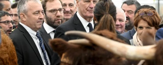 « L'élevage ne doit pas pâtir de l'instabilité de la France »
