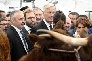 « L'élevage ne doit pas pâtir de l'instabilité de la France »