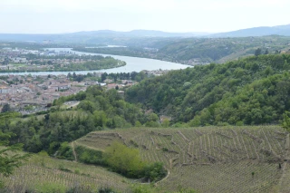 Vignobles en scène : la Loire va mêler vin, culture et rencontres