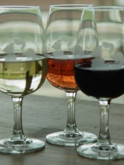 La Loire aux 3 Vignobles : la version pro du salon séduit cavistes et restaurateurs