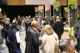 Un public moins nombreux mais plus jeune pour l'édition 2025 de la Loire aux 3 vignobles