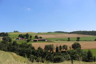 Quand et comment solliciter une demande d’autorisation d’exploiter ?