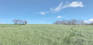 Les comités de développement, moteurs d’innovations agricoles