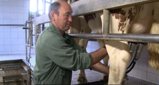  Les mammites, une préoccupation toujours d’actualité ! 