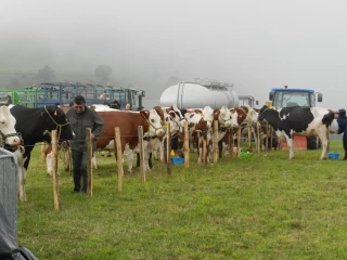 La fête est dans le pré, un rendez-vous qui rassemble le Pilat... et au-delà