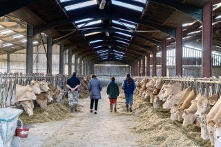 Dermatose nodulaire contagieuse : ministre et syndicats débattent sur la stratégie sanitaire 