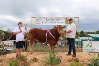 Concours limousin : les élevages ont prouvé leur excellence