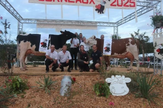 Découvrez les palmarès de la Fête du lait 2025