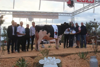 Découvrez le palmarès de la race Prim'Holstein