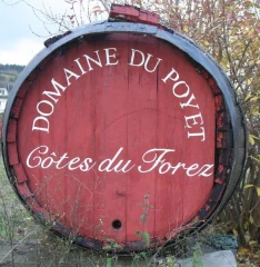 Le Domaine du Poyet, un verre de Forez à la main