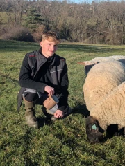 Qui est le Ligérien en route  pour la finale des Ovinpiades ?