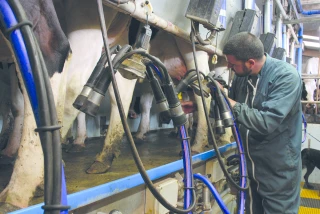 Prix du lait : les éleveurs inquiets de l’attitude  des industriels