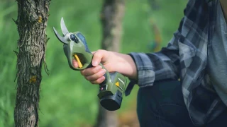 Viticulture : quelles différences entre sécateurs filaires et à batterie intégrée ?