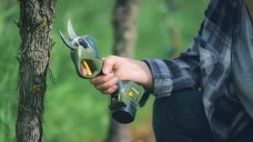 Viticulture : quelles différences entre sécateurs filaires et à batterie intégrée ?