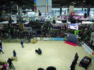 Comment le Salon de l'agriculture 2026 s’adapte à l’absence des épreuves bovines historiques ?