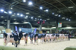 Salon de l'agriculture : la Loire rebondit malgré l’absence de vaches