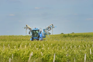 Phytos à base de cuivre : les viticulteurs contestent les décisions de l’Anses