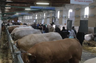 Comice de Feurs : En 2026, un contexte inédit, mais une mobilisation sans relâche