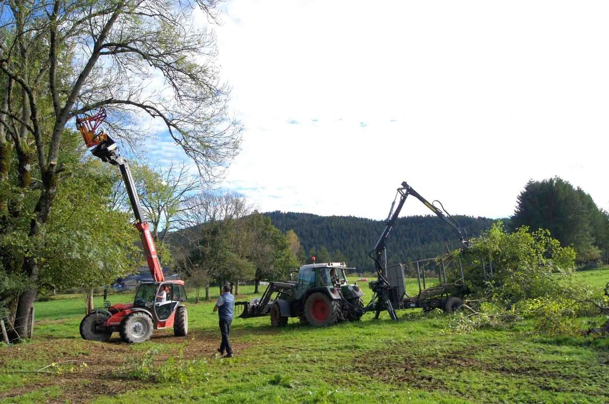 Taille des haies : interdiction du 16 mars au 15 août pour les agriculteurs