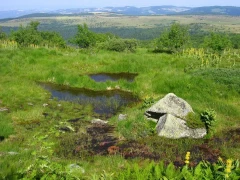 Les Safer se mobilisent sur la gestion de l’eau