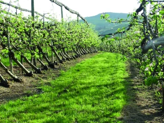 Verger : innovations, irrigation et protection intégrée au cœur d’une journée technique à Saint-Paul-en-Jarez le 9 avril