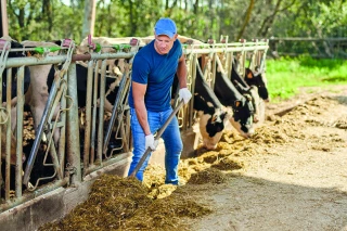 Groupements d’employeurs agricoles : comment simplifier le recrutement et mutualiser la main-d’œuvre ? 