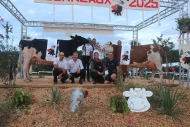 ADPEL : Les événements d’élevage ne tiennent qu’à un fil… sanitaire