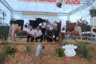 ADPEL : Les événements d’élevage ne tiennent qu’à un fil… sanitaire