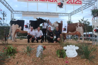 ADPEL : Les événements d’élevage ne tiennent qu’à un fil… sanitaire