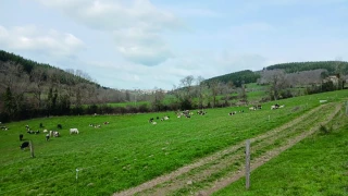 Valoriser l’herbe malgré une croissance ralentie