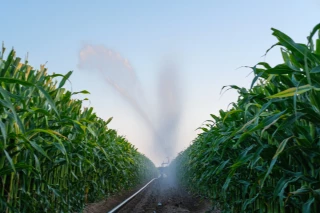 Quels leviers pour économiser l’eau sans pénaliser les rendements ?