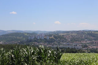 Pollution de l’air : l’agriculture ligérienne fait mieux que les objectifs fixés