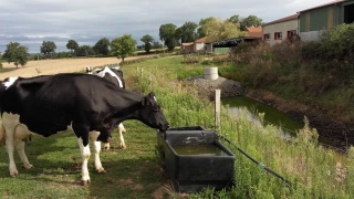 Comment créer une retenue pour abreuver son troupeau au bâtiment ?