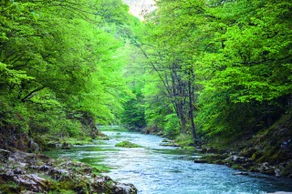 Eau et agriculture : quelles règles pour les prélèvements et l’irrigation dans la Loire ?