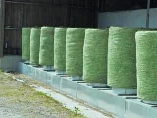 Quelles sont les règles à suivre pour bien sécher le foin en balles rondes ? 