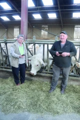 Comment le Gaec de Cantin optimise la reproduction de son troupeau charolais ?