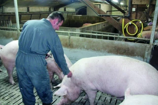 Pac : l’Union européenne veut renforcer les outils de gestion des crises agricoles
