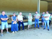 Filière bovine : le poids des capitaux freine la transmission des élevages