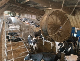 Quelles sont les clés d’un bâtiment performant durant les fortes chaleurs ? 