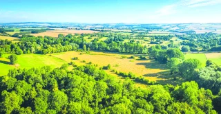 Le marché foncier est resté dynamique en 2025