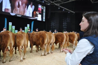 Le Sommet de l'élevage vise 1 800 exposants en 2026